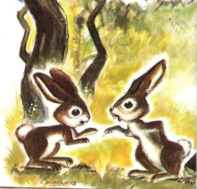 En este momento estás viendo Dos conejos